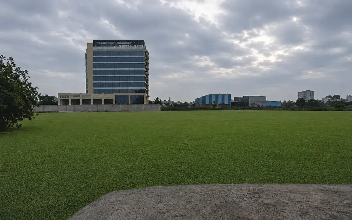After natural lawn grass installation