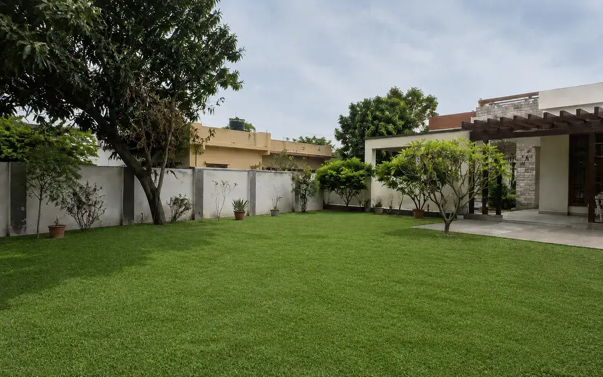 After natural lawn grass installation
