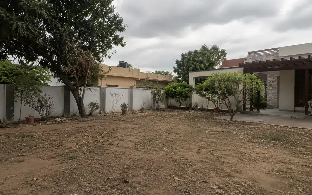 Before natural lawn grass installation