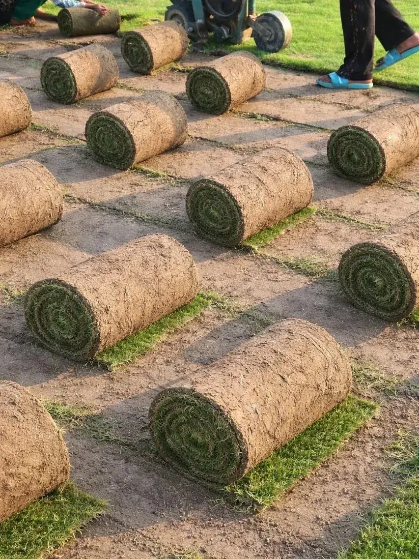 Elite Green Grass Farm Natural Lawn Photo 2